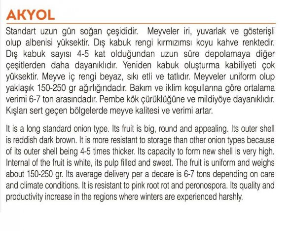 ATA TOHUMU YERLİ SOĞAN AKYOL 1000 ADET TOHUM - 2