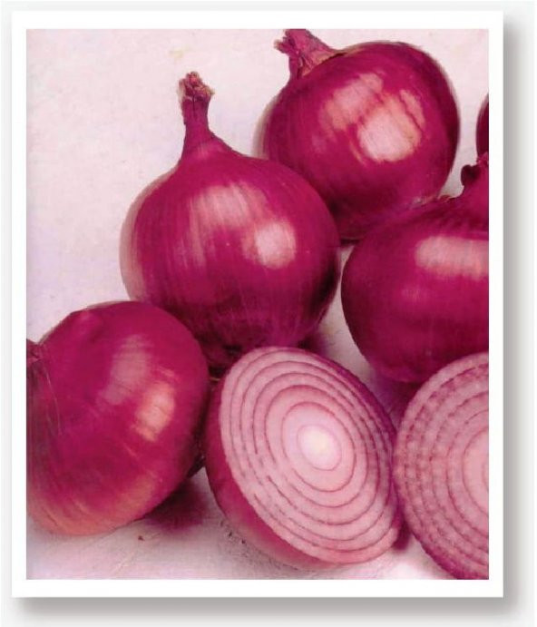 YERLİ DOĞAL MOR SOĞAN ATA 200 ADET TOHUM