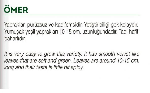 ATA TOHUMU YERLİ ENLİ TERE 1000 ADET TOHUM - Resim 2