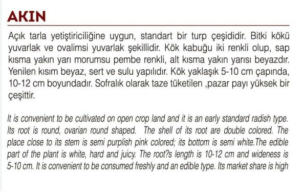 ATA TOHUMU YERLİ BEYAZ ŞALGAM TURP 500 ADET TOHUM - 2