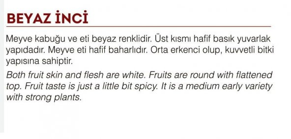 YERLİ DOĞAL TURP BEYAZ İNCİ 500 ADET TOHUM - 2