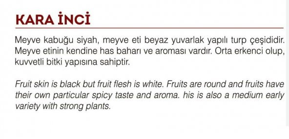 YERLİ DOĞAL SİYAH TURP TOHUMU 500 ADET TOHUM - 2