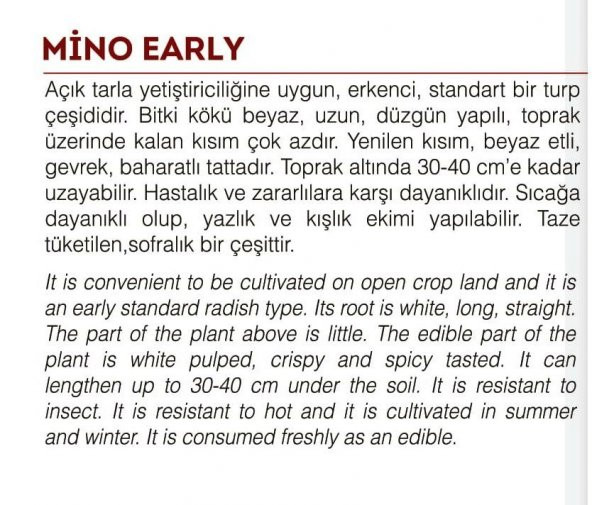 DOĞAL BEYAZ UZUN TURP MİNO EARLY 500 ADET TOHUM - Resim 2