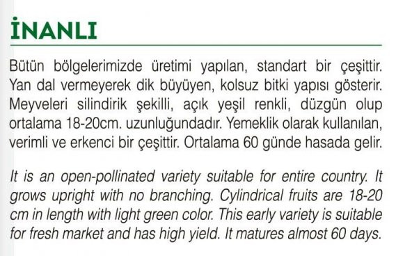 ATA TOHUMU YERLİ KABAK TOHUMU 20 ADET TOHUM - 2