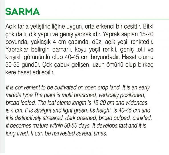 ATA TOHUMU YERLİ PAZI 100 ADET TOHUM - Resim 2