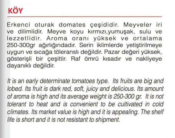 ATA TOHUMU YERLİ DOĞAL KÖY DOMATESİ 1000 ADET TOHUM - Resim 2