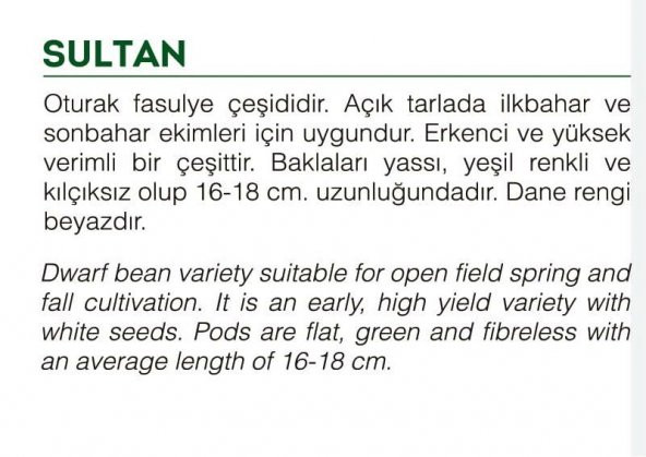 ATA TOHUMU YERLİ FASULYE SULTAN 50 ADET TOHUM - 2