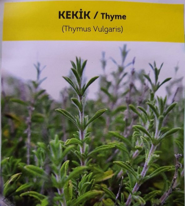 ATA TOHUMU YÖRESEL KEKİK TOHUMU 1000 ADET TOHUM