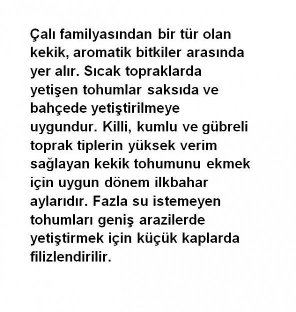 ATA TOHUMU YÖRESEL KEKİK TOHUMU 1000 ADET TOHUM - 2