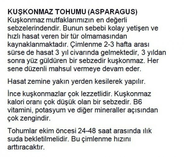 ATA TOHUMU YERLİ KUŞKONMAZ TOHUMU 40 ADET TOHUM - 2