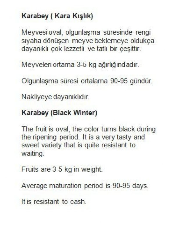 ATA TOHUMU YERLİ KAVUN KARABEY 100 ADET TOHUM - 2