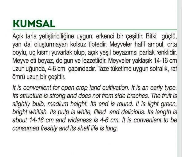ATA TOHUMU YERLİ TOPAK DOLMA KABAK 20 ADET TOHUM - Resim 2