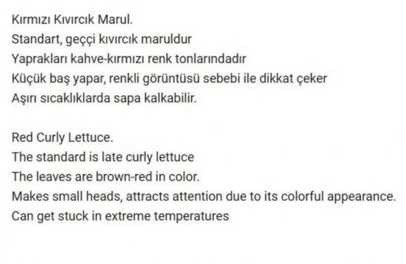 ATA TOHUMU YERLİ KIRMIZI MARUL 1000 ADET TOHUM - 2