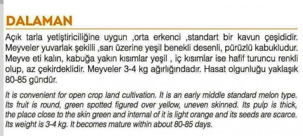 ATA TOHUMU YERLİ KAVUN DALAMAN 100 ADET TOHUM - 2