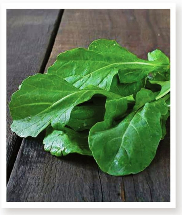 KARIŞIK YEŞİLLİK SEBZE SETİ TOHUMLARI 6 ÇEŞİT SEBZE BİNER ADET - Resim 6