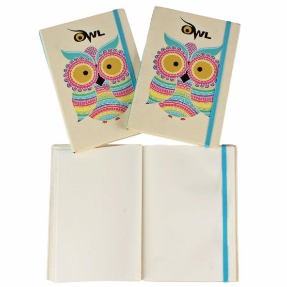 Toptan Defter 40 Adet Sert Kapak Baykuş Defter