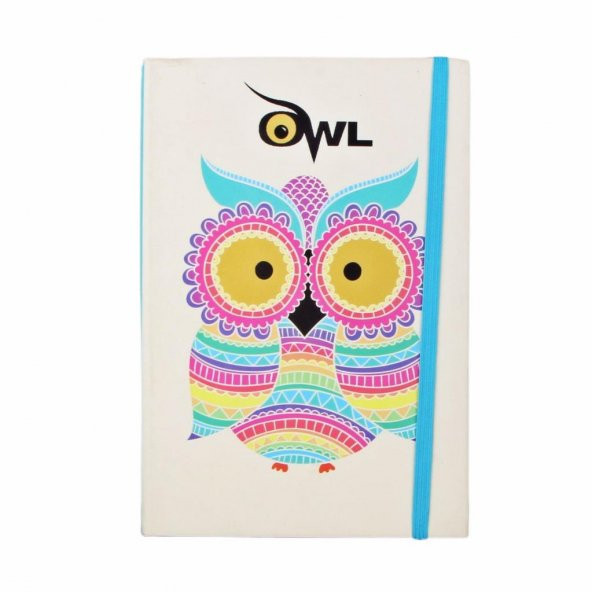 Toptan Defter 40 Adet Sert Kapak Baykuş Defter - 2