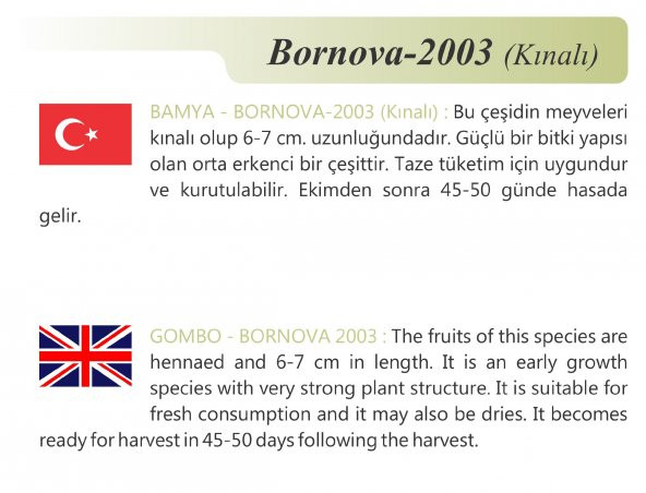 ATA TOHUMU YERLİ KINALI BAMYA 100 ADET TOHUM - 2