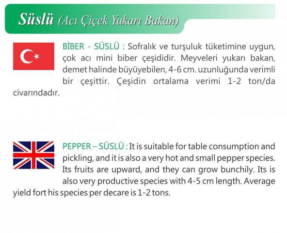 ATA TOHUMU YERLİ DOĞAL SÜSLÜ BİBERİ 500 ADET TOHUM - Resim 2