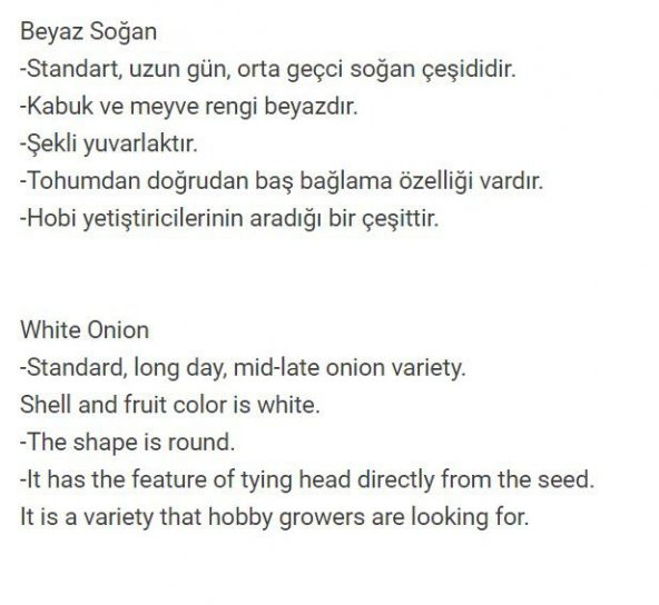 YERLİ DOĞAL BEYAZ SOĞAN 200 ADET TOHUM - 2