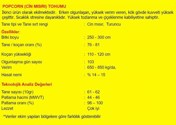 PATLAK MISIR POPCORN CİN MISIR TOHUMU 50 ADET TOHUM - 3