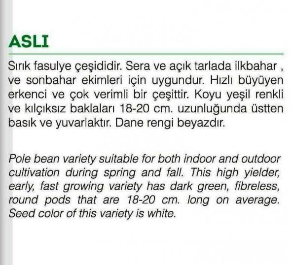 ATA TOHUMU YERLİ SIRIK FASULYE 50 ADET TOHUM - 2