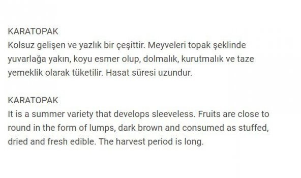 ATA TOHUMU YERLİ KABAK KARATOPAK 20 ADET TOHUM - 2