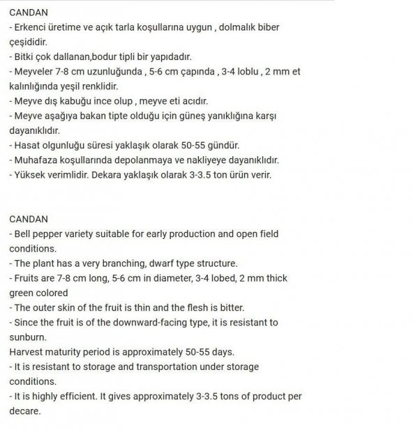 ATA TOHUMU YERLİ HATAY ACI DOLMA BİBERİ 500 ADET TOHUM - Resim 2