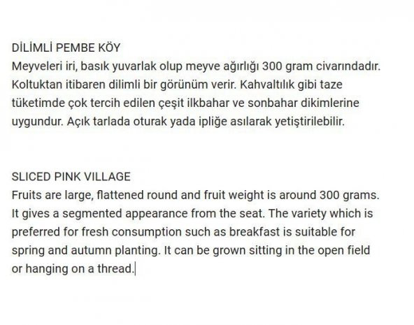 ATA TOHUMU YERLİ DİLİMLİ PEMBE KÖY DOMATESİ 100 ADET TOHUM - 2