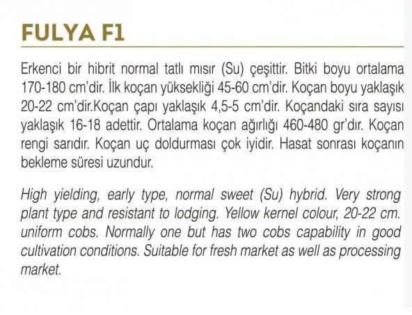 FULYA F1 HİBRİT TATLI MISIR TOHUMU 10 GR (BARDAKTA MISIR TOHUMU) - 2