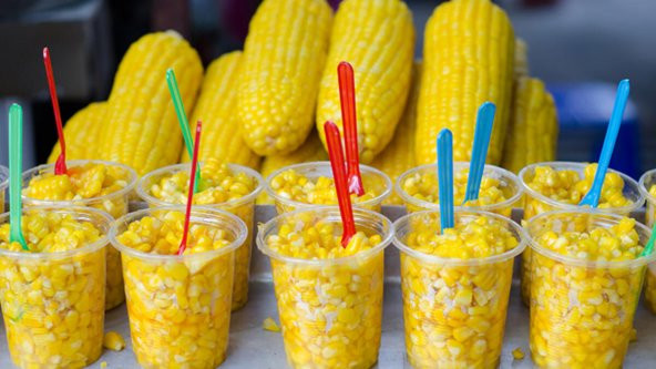 FULYA F1 HİBRİT TATLI MISIR TOHUMU 10 GR (BARDAKTA MISIR TOHUMU) - 3