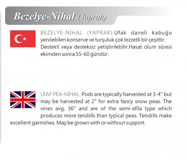 ATA TOHUMU YERLİ DOĞAL YAPRAK BEZELYE 50 ADET TOHUM - 2