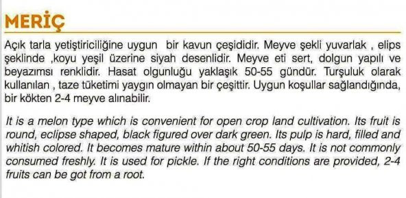 ATA TOHUMU YERLİ DOĞAL KARA KAVUN MERİÇ 100 ADET TOHUM - 2