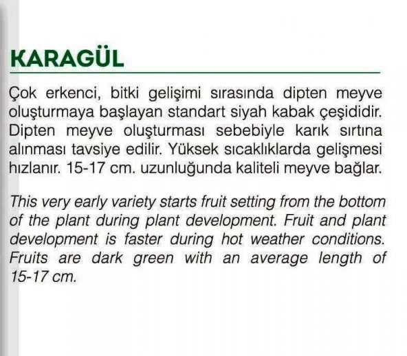ATA TOHUMU YERLİ DOĞAL KABAK TOHUMU KARAGÜL 20 ADET TOHUM - 2