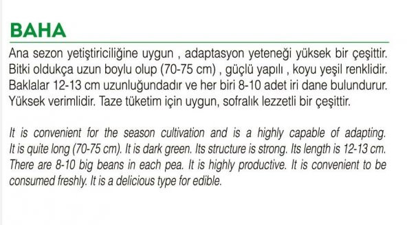 ATA TOHUMU YERLİ DOĞAL BEZELYE 50 ADET TOHUM - 2