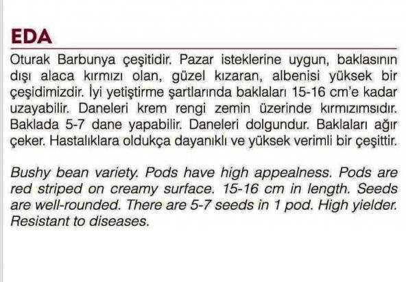 ATA TOHUMU YERLİ BARBUNYA EDA 30 ADET TOHUM - Resim 2