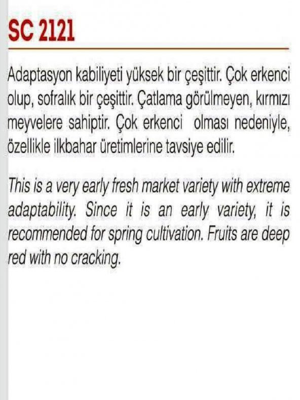 DOĞAL STANDART SOFRALIK SC-2121 DOMATES 1000 ADET TOHUM - 2