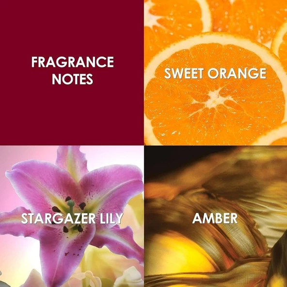 Britney Spears Hidden Fantasy EDP 100 ml Kadın Parfümü - Resim 5