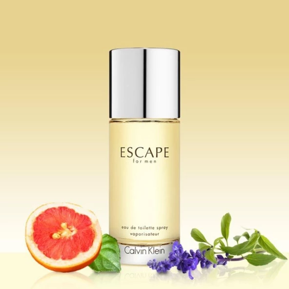 Calvin Klein Escape For Men EDT 100 ml Erkek Parfümü - Resim 3