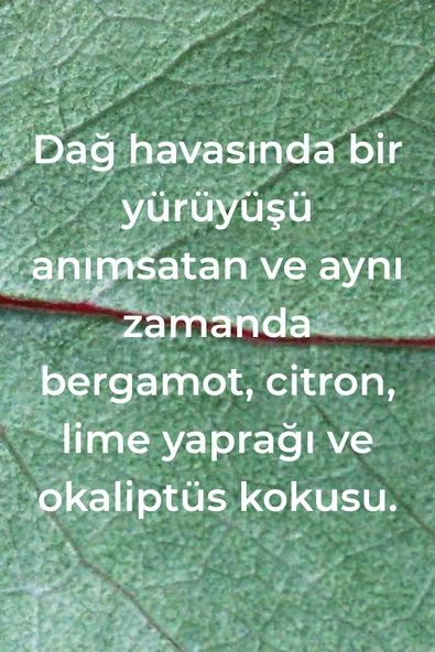 Method Köpüklü Banyo + Fayans Temizleyici Okaliptüs ve Nane Kokulu 828ML - 3