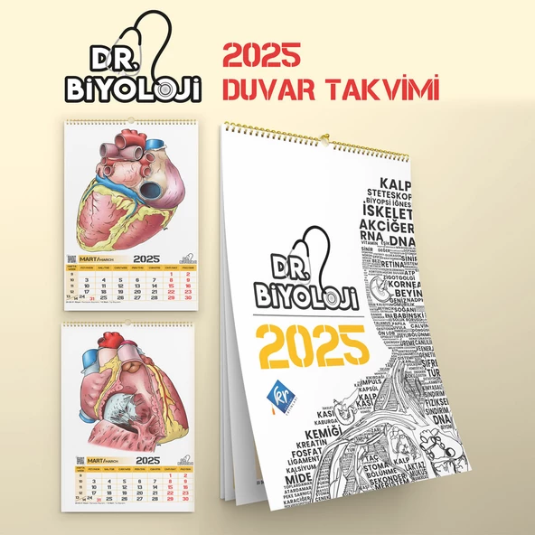 Barış Hoca Dr. Biyoloji Poster Takvim