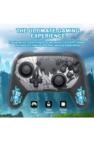 PC Uyumlu Switch Pro Uyumlu Oyun Kolu Kumanda Kablolu ve Kablosuz Joystick Gamepad HAC013 Siyah - 4
