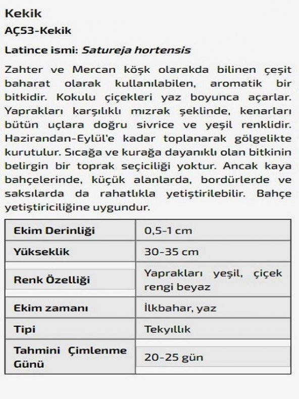 Kekik Çiçeği Tohumu - 2