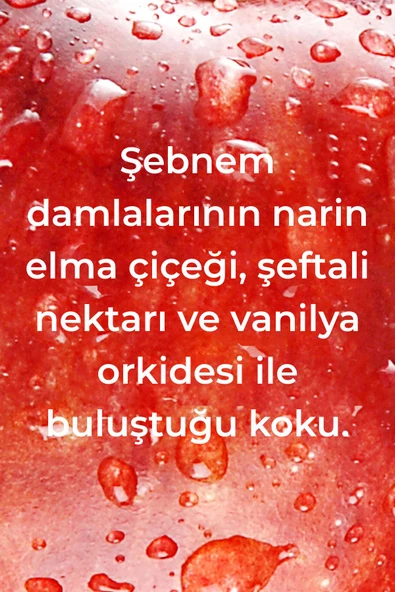 Method Ankastre Temizleyici ve Parlatıcı Elma Bahçesi Kokulu 414ML - 3