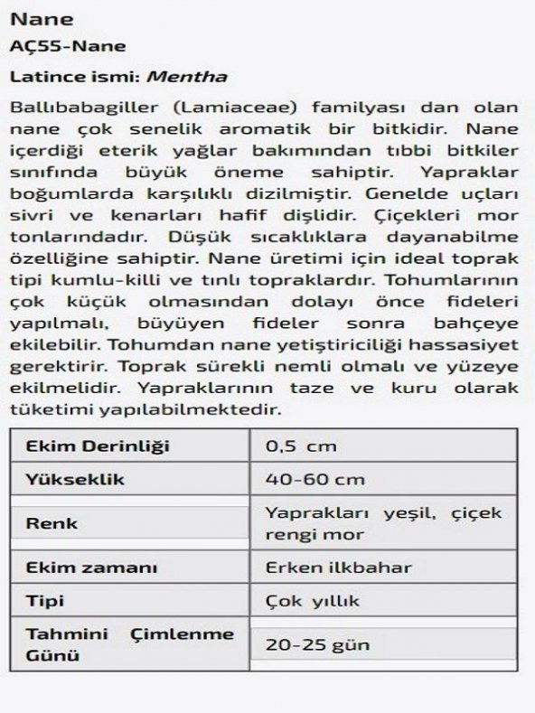 Nane Çiçeği Tohumu - 2