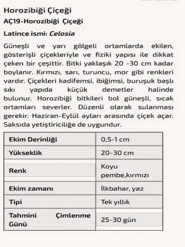 Horozibiği Çiçeği Tohumu - 2