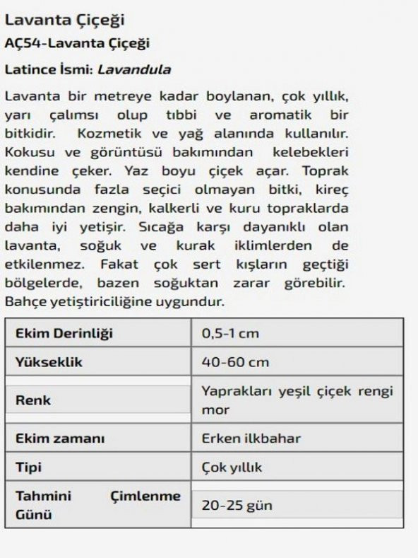 Lavanta Çiçeği Tohumu - 2