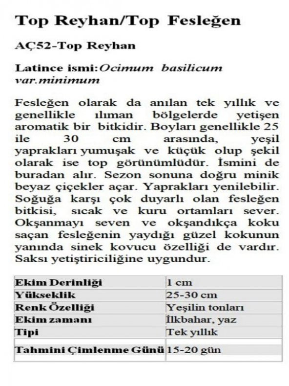 Top Reyhan Top Fesleğen Çiçeği Tohumu - 2