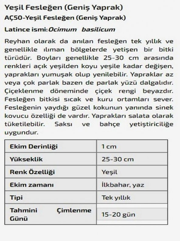 Yeşil Reyhan Fesleğen (Geniş Yaprak) Çiçeği Tohumu - 2