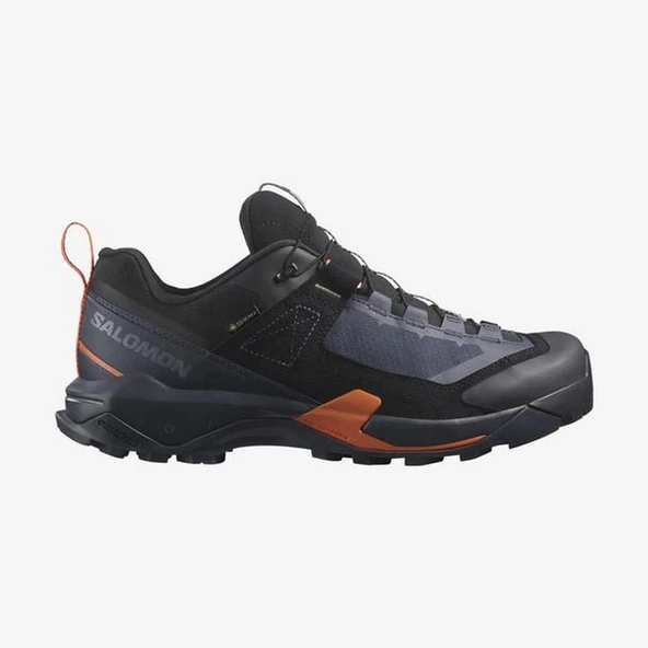 Salomon X ULTRA ALPINE GTX Erkek Ayakkabı L47686200